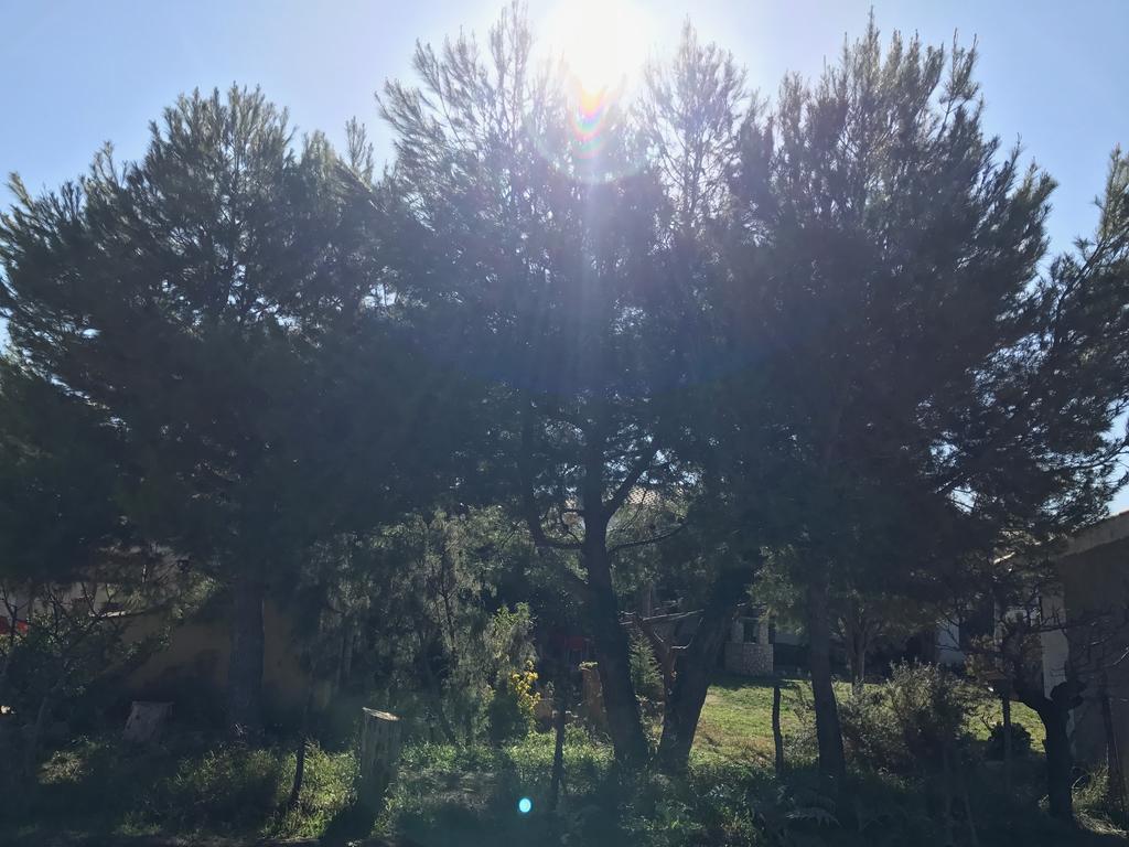 Casa Rural La Granja Letur Kültér fotó